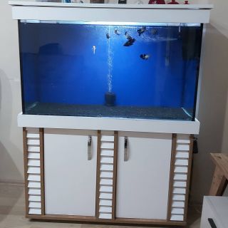 シュリンプ水槽の自己流セッティング方法 Pepeブログ 趣味の部屋でアクアリウム満喫中